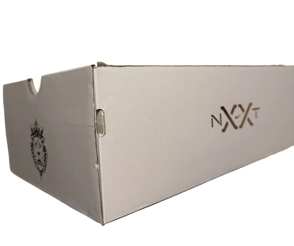 Nike Zoom LeBron NXXT GEN AMPD (Men’s 9)